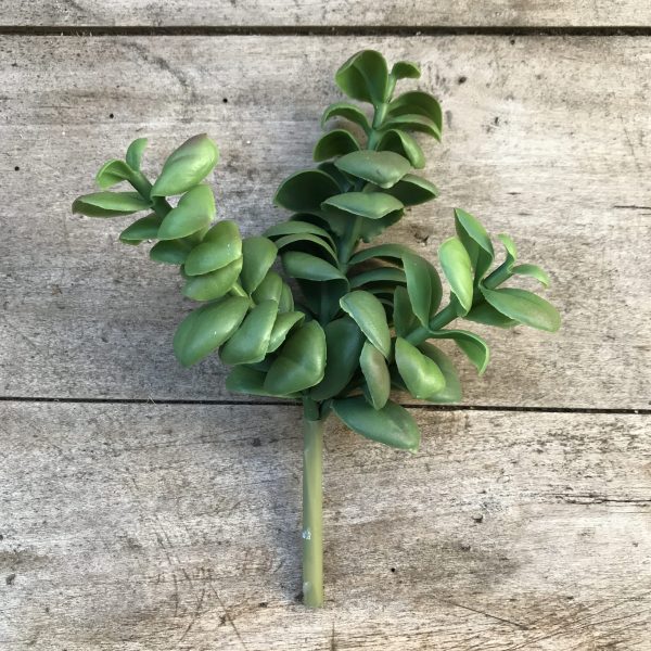 Faux Stem Succulent Soft Jade – Bon Bon