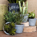 Faux Cactus in Gray Pot